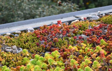 the cost of Belton In Rutland green roof installation