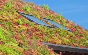 Belton In Rutland living roof systems