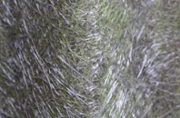 Belton In Rutland fibreglass roof work